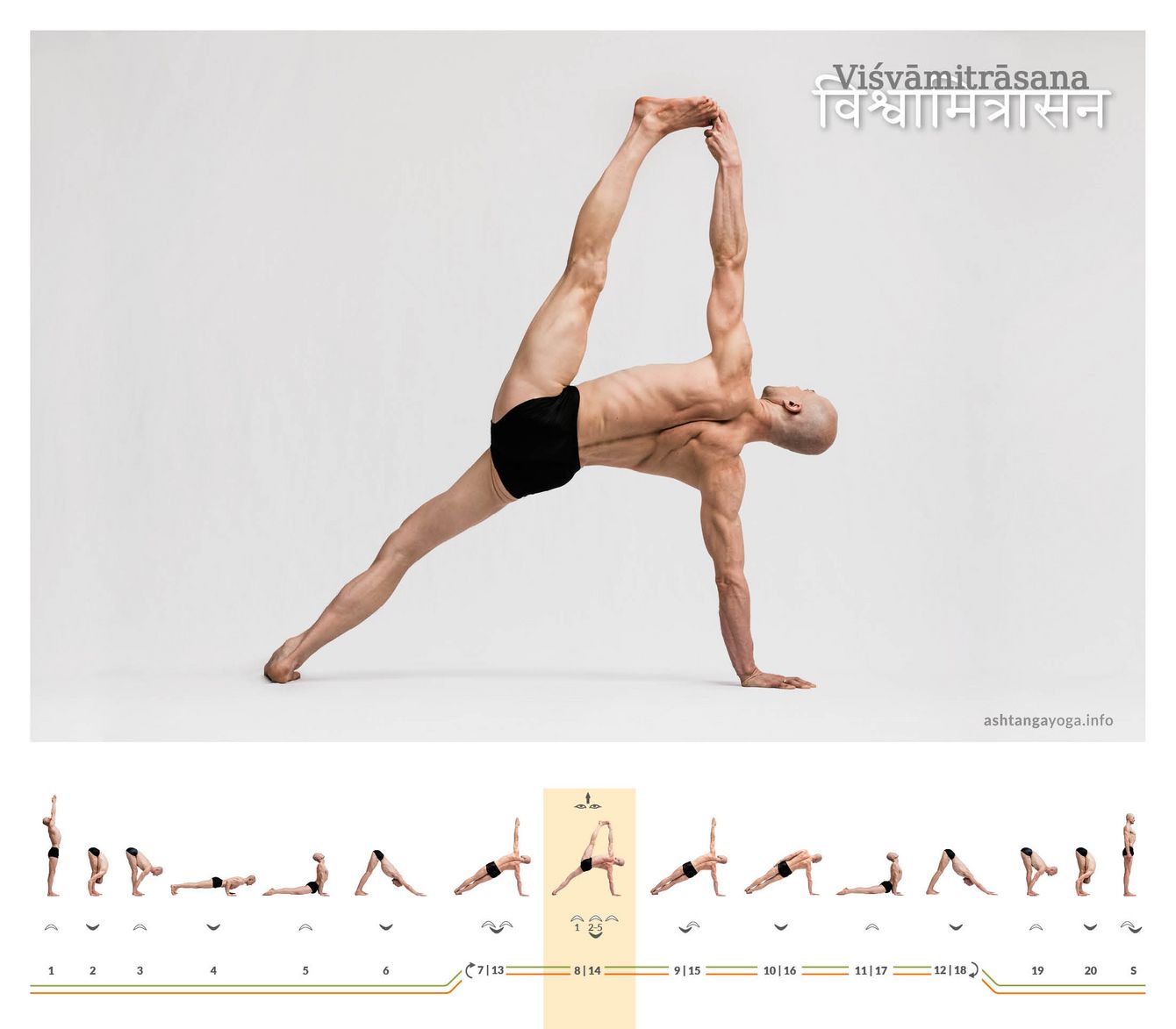 The "Pose Named after Vi"asishtha" is a powerful side plank pose where the arm and leg of the not supporting side gracefully reach towards the sky.